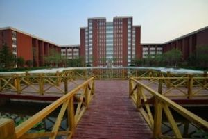 楊村第七國小 楊村第七國小