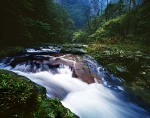 三道林場 三道林場