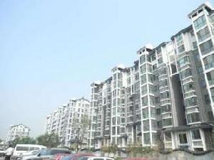 金鵬大廈 金鵬大廈