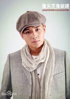 像火花像蝴蝶[2013年胡軍、江一燕主演電視劇]