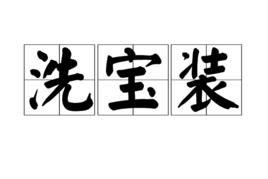 洗寶裝 洗寶裝