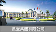 上海星寶集團 上海星寶集團