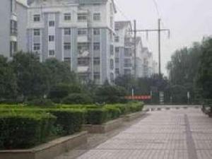 金城中苑 金城中苑