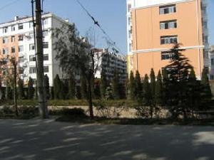 信義人生 信義人生