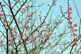 冬月[農曆十一月別稱]