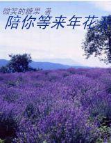 陪你等來年花開 陪你等來年花開