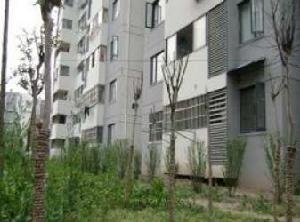 林景瑞園 林景瑞園