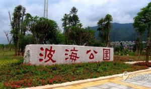 波海公園 波海公園