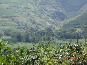 芒老塘村 芒老塘村