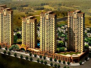 大洲國際龍郡 大洲國際龍郡