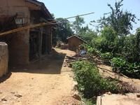 南瓜自然村 南瓜自然村