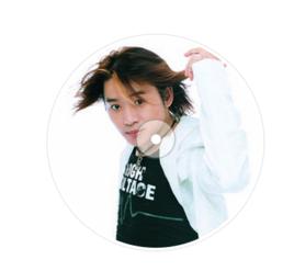 流浪情歌 流浪情歌