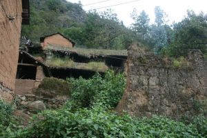 龍鳳自然村 龍鳳自然村