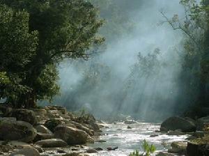 尖峰嶺自然保護區