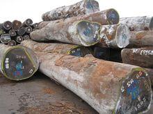 毛藥烏木進口材