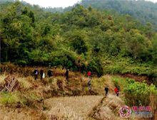 梅州市梅縣區松口鎮古窯遺址