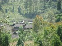 草果林自然村 草果林自然村