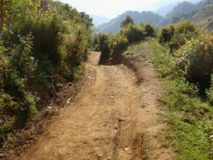 棲木坡村 棲木坡村