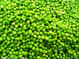 青豌豆
