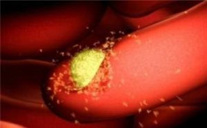 瘧疾復發 瘧疾復發