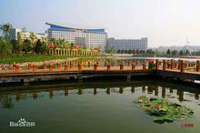 市黨政辦公中心