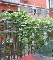 阜外大街281號 阜外大街281號