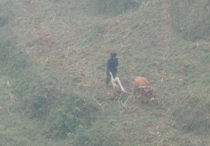 大坳口村 大坳口村