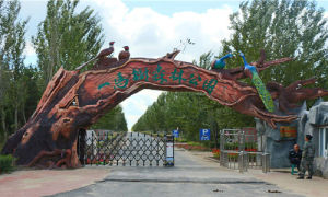 一馬樹森林公園 一馬樹森林公園