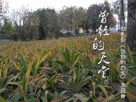 曾經的天堂 曾經的天堂