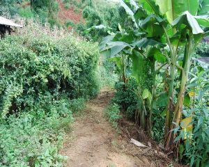 刷線廠自然村 刷線廠自然村