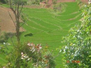 篾笆哨村 篾笆哨村