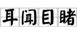 耳聞目睹 耳聞目睹