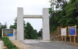 黃岡大崎山森林公園 黃岡大崎山森林公園