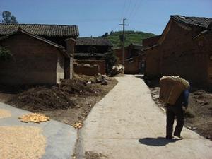 中麥場村村貌<a name="ref_[1]"></a>