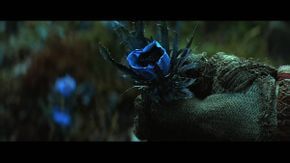 影武者聯盟標誌 恐懼之花