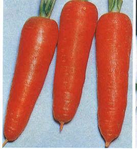 商邱金筍 商邱金筍