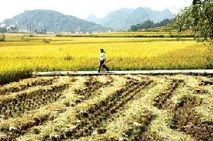安順經濟技術開發區
