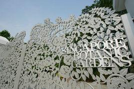 新加坡植物園 新加坡植物園