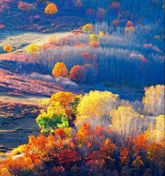 夏天千萬別去內蒙古!我是認真的...