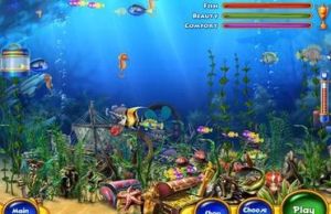 《迷你水族箱》