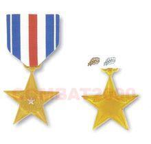 銀星勳章 銀星勳章