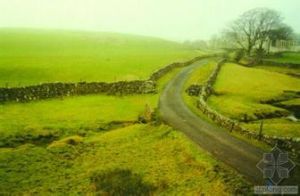 摩爾農場 摩爾農場