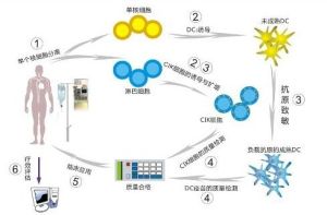 鏈式多細胞生物免疫療法 鏈式多細胞生物免疫療法