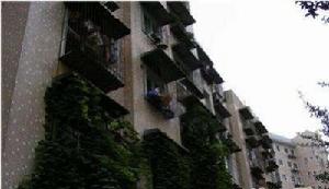 常青花園2村 常青花園2村