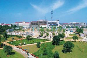 黃山園藝良種場 黃山園藝良種場