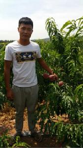 王志偉[山東省濰坊市青州市益豐苗木有限公司負責人]