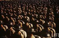 國民革命軍獨立九十五師 國民革命軍獨立九十五師