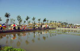 七裏海[天津市七裏海]