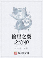 偷星之翼之守護 偷星之翼之守護