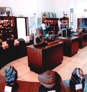 石河子奇石館 石河子奇石館